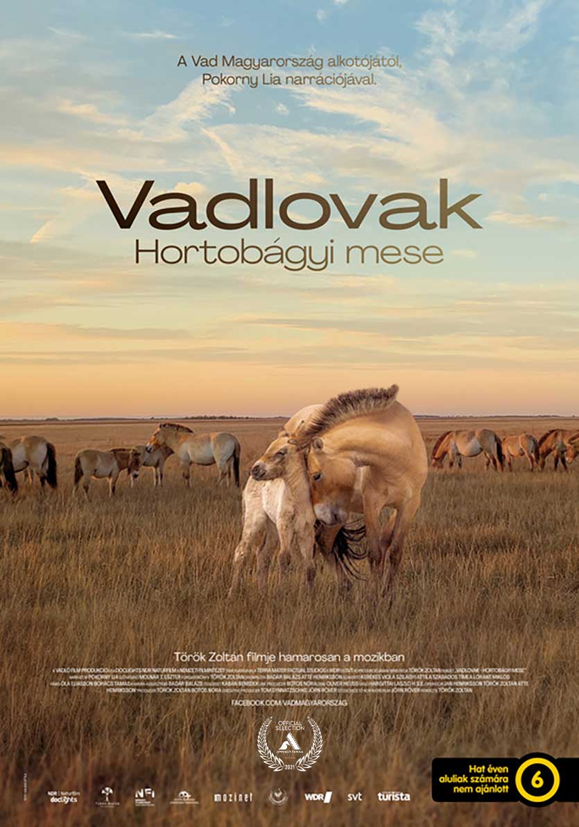 Animalis Fabula Film Festival Official Selection Wild Horses April 2021