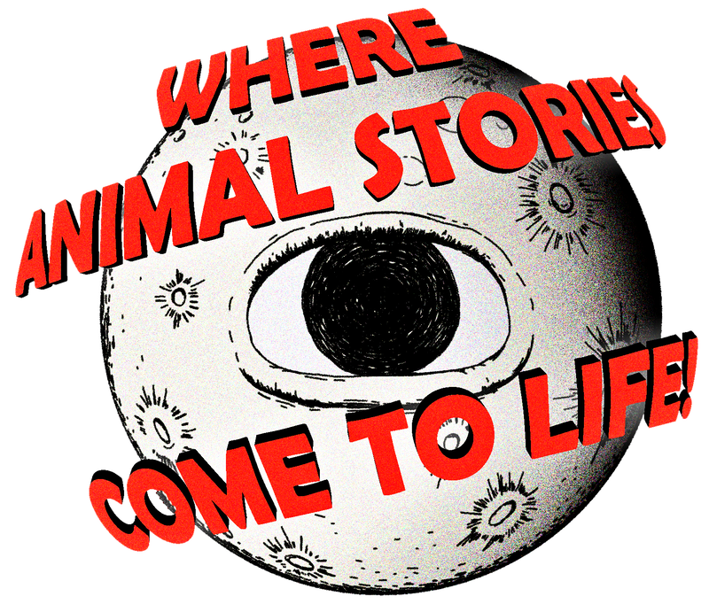 AniFab San Antonio's Animalis Fabula Film Festival - Where Animal Stories Come To Life!