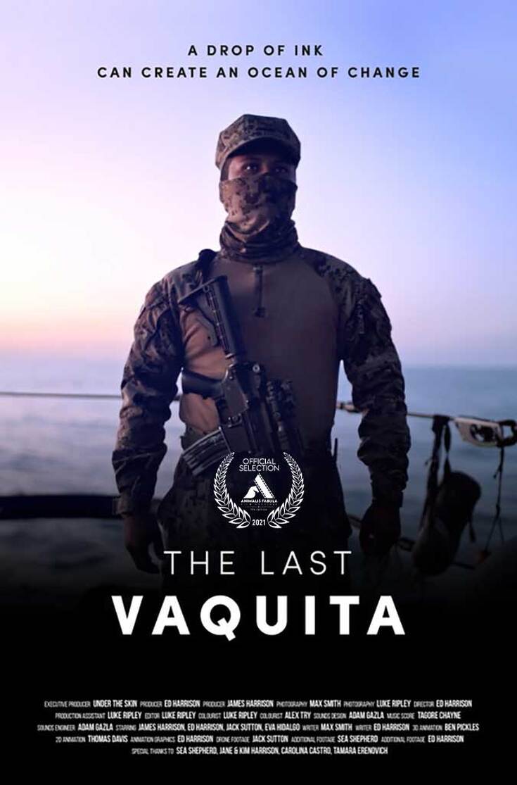 Animalis Fabula Film Festival Official Selection The Last Vaquita