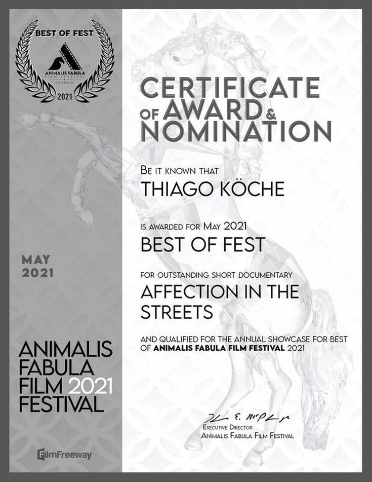 AniFab-Monthly-Best-Of-Fest-Certificate-Affection In The Streets